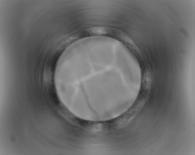 X0000113250330200910221126