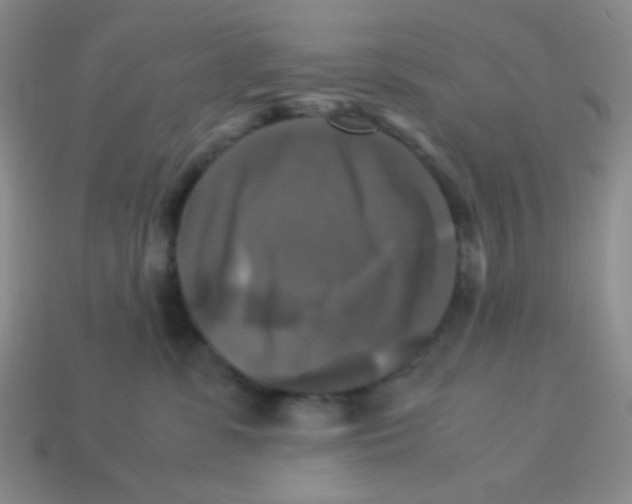 X0000113250331200910221126