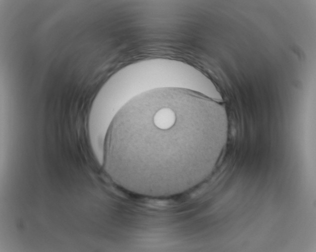 X0000113250332200910221126