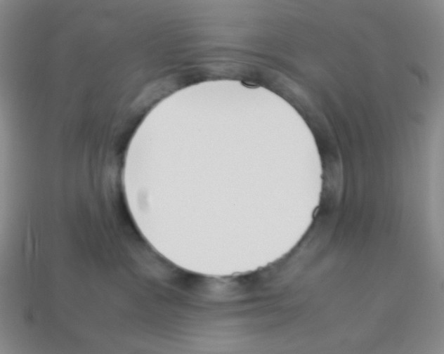 X0000113250333200910221126