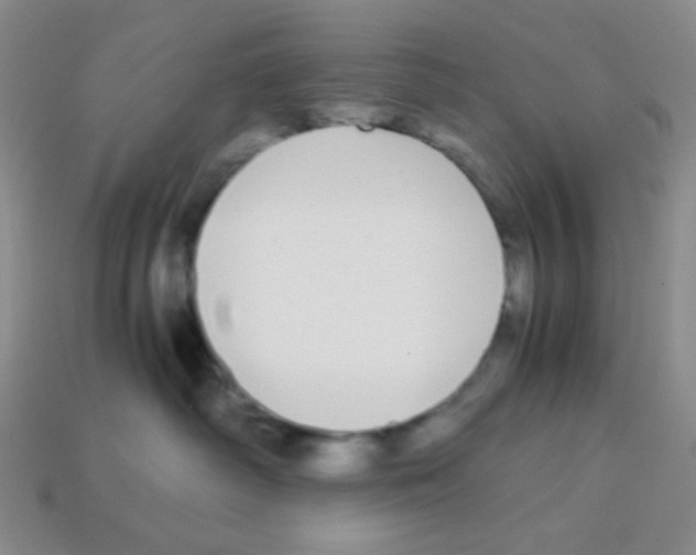 X0000113250334200910221126