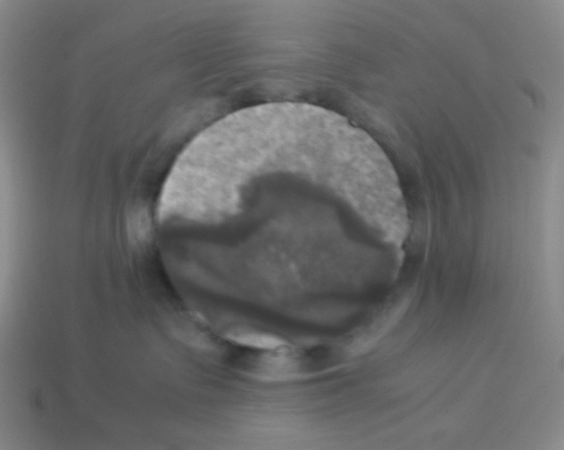 X0000113250335200910221126