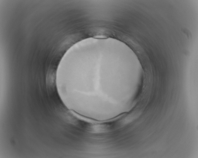 X0000113250336200910221126