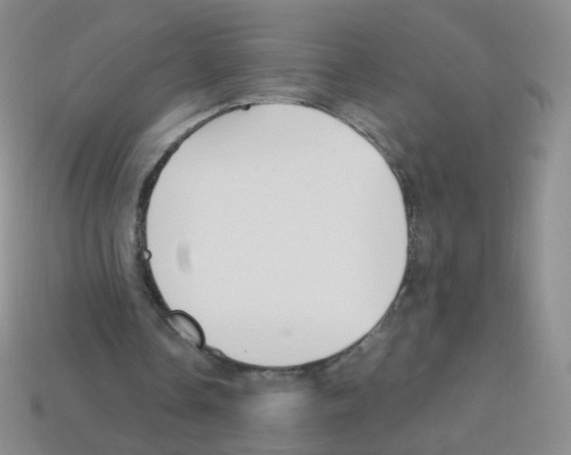 X0000113250338200910221125