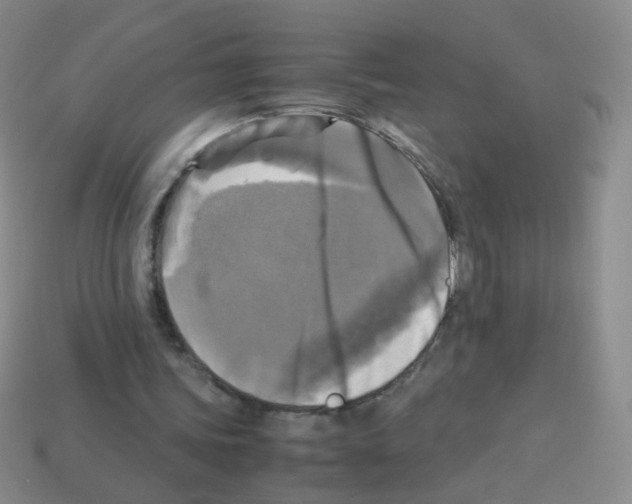 X0000113250339200910221125