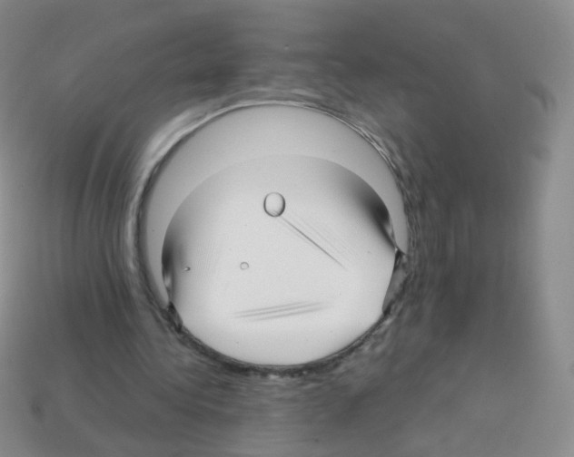 X0000113250340200910221125