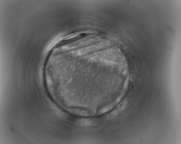 X0000113250341200910221125