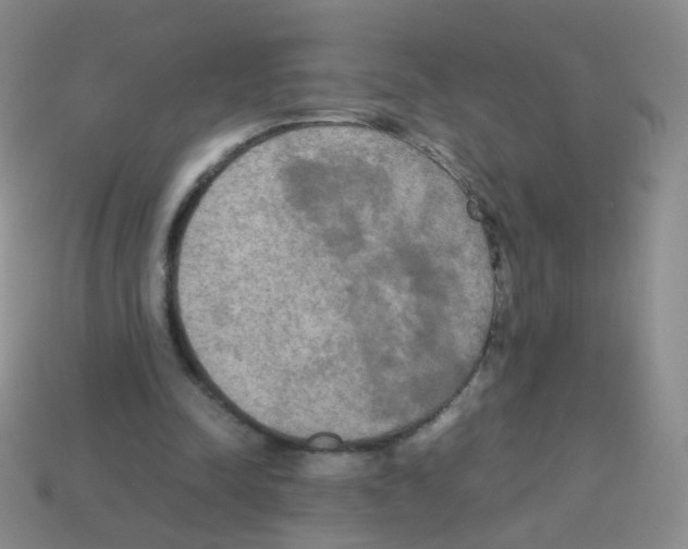 X0000113250342200910221125