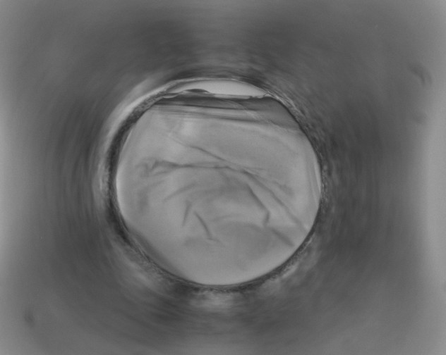 X0000113250343200910221125