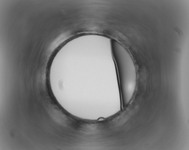 X0000113250344200910221126