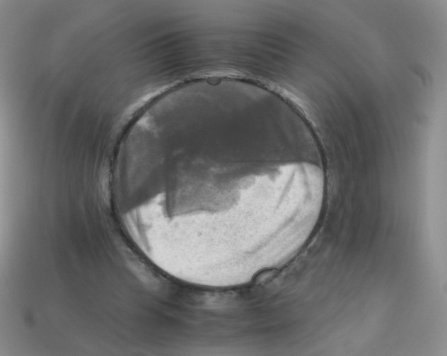 X0000113250345200910221126