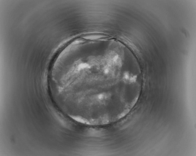 X0000113250346200910221126