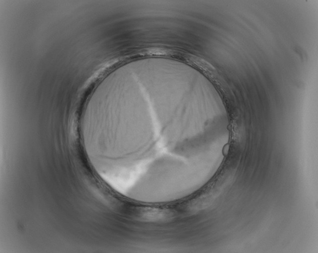 X0000113250347200910221126