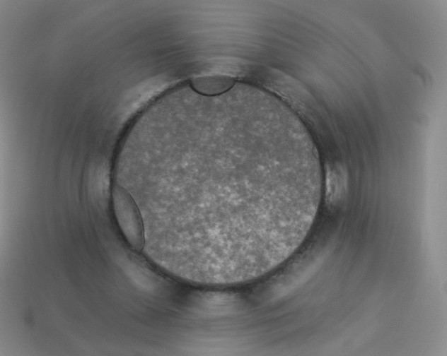 X0000113250348200910221126