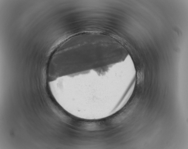 X0000113250349200910221126