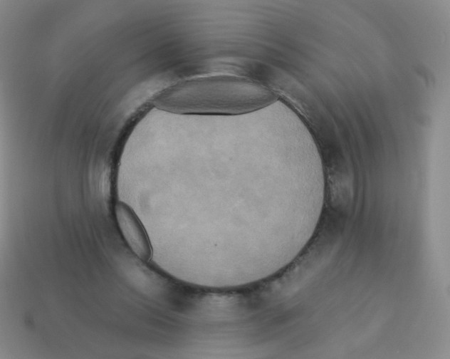 X0000113250350200910221126