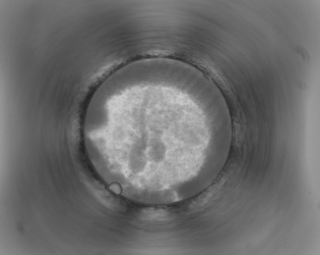 X0000113250354200910221126