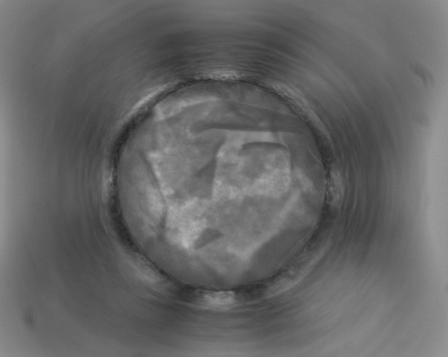 X0000113250355200910221126