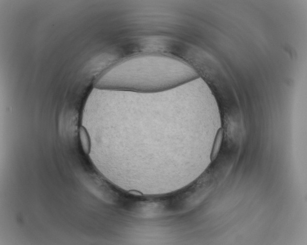 X0000113250356200910221126