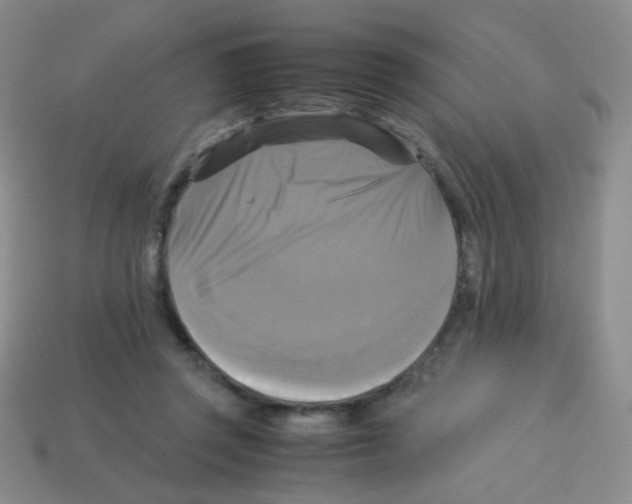 X0000113250357200910221126