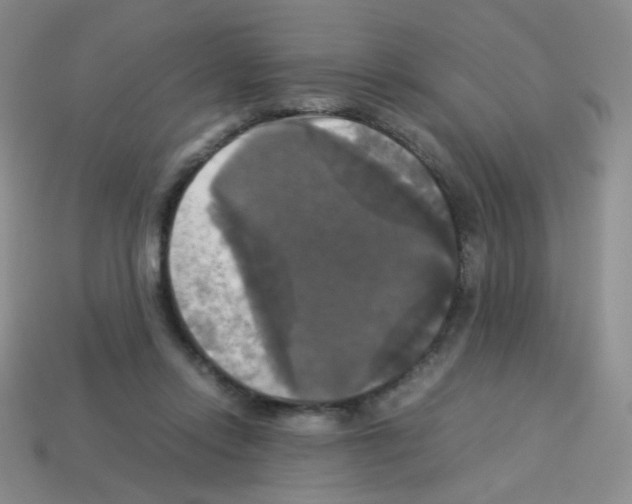 X0000113250358200910221126