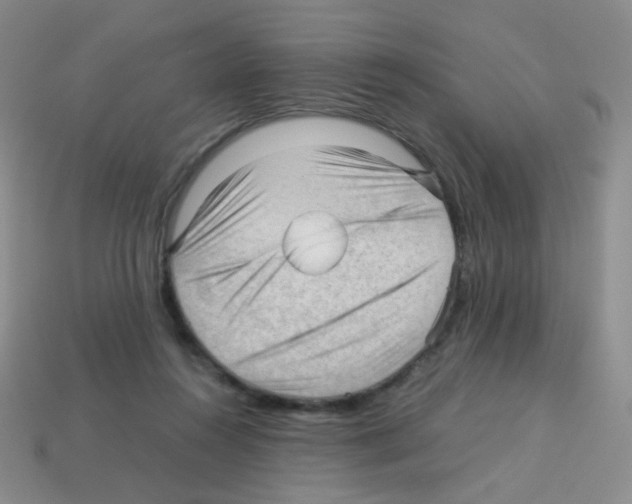 X0000113250360200910221126