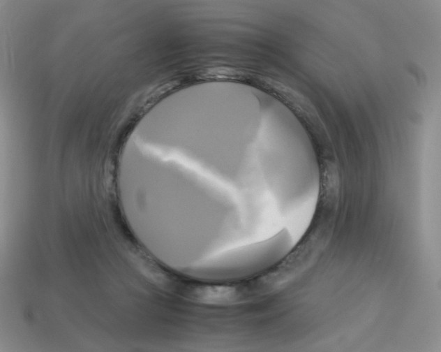 X0000113250361200910221126