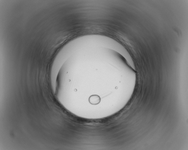 X0000113250362200910221126