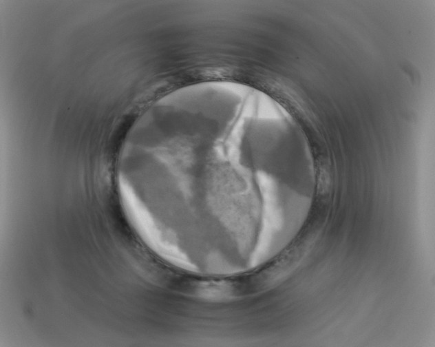 X0000113250363200910221126