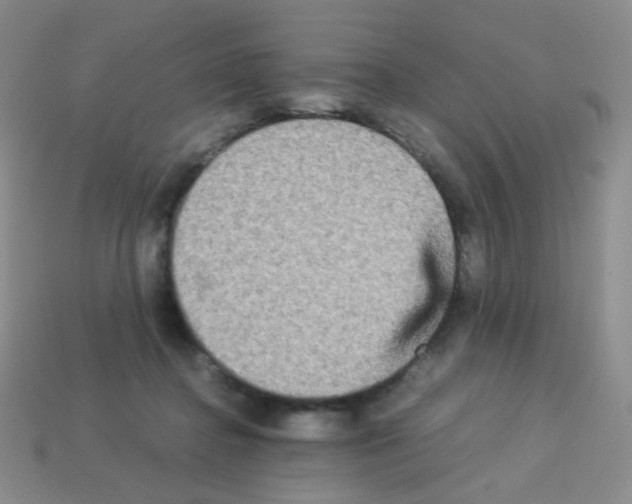 X0000113250364200910221126