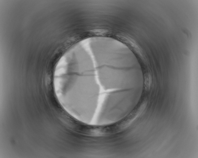 X0000113250365200910221126