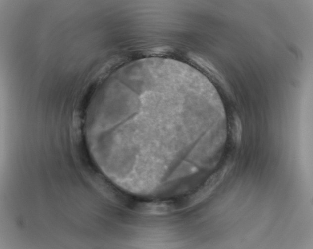 X0000113250366200910221126