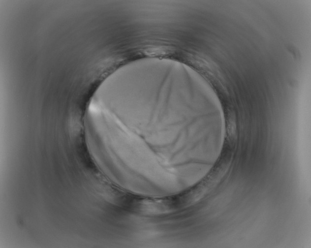 X0000113250367200910221126