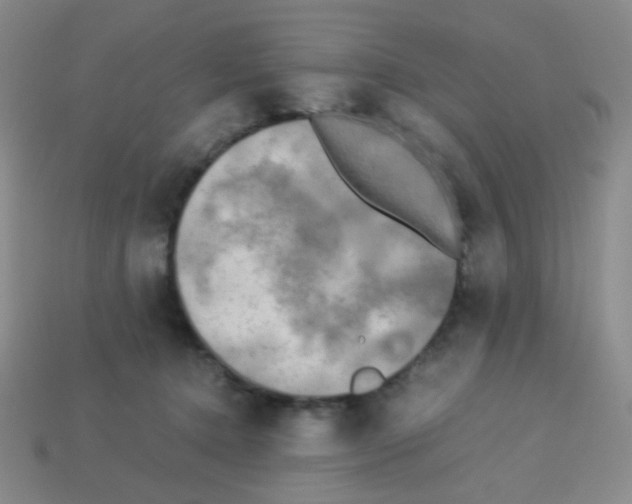 X0000113250368200910221126