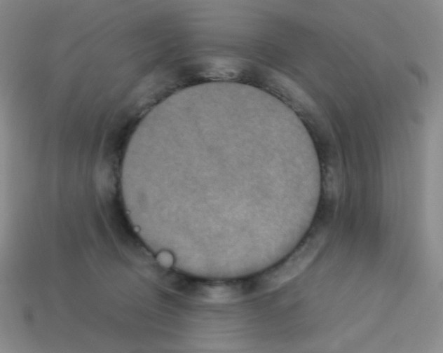 X0000113250370200910221126