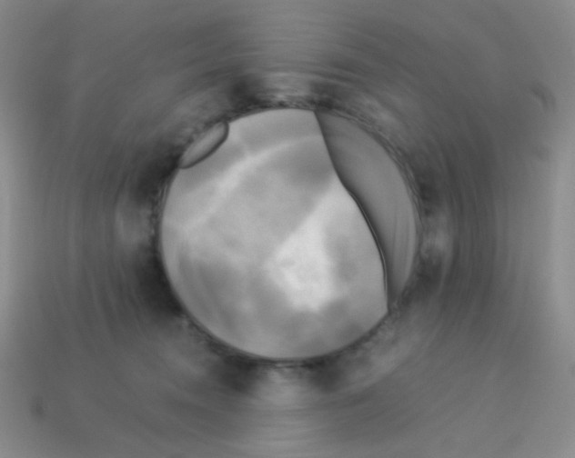 X0000113250372200910221126