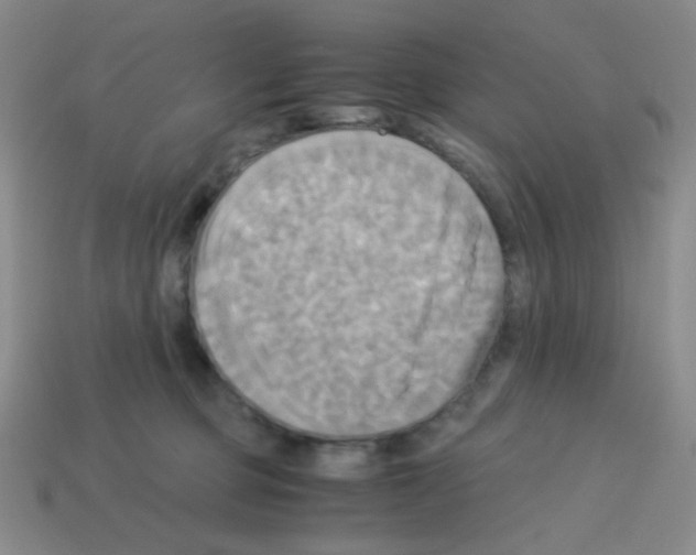 X0000113250373200910221126