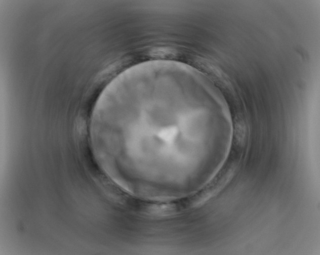 X0000113250375200910221126