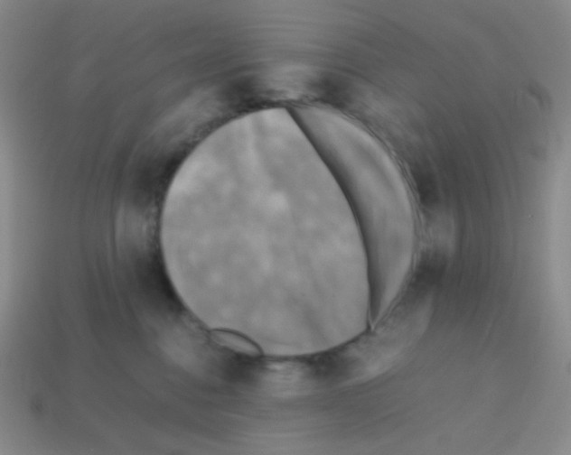 X0000113250376200910221126