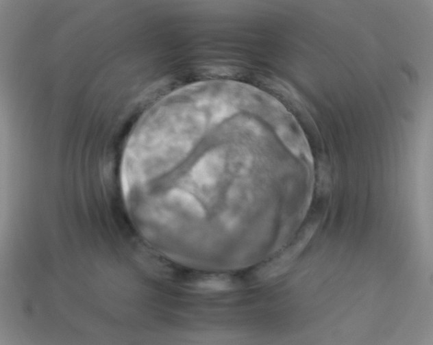 X0000113250377200910221126