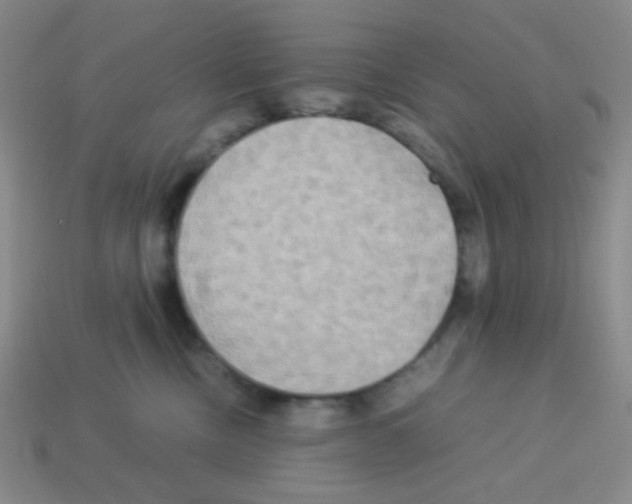 X0000113250378200910221126