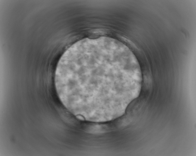 X0000113250379200910221126