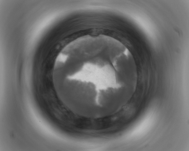 X0000113250383200910221126