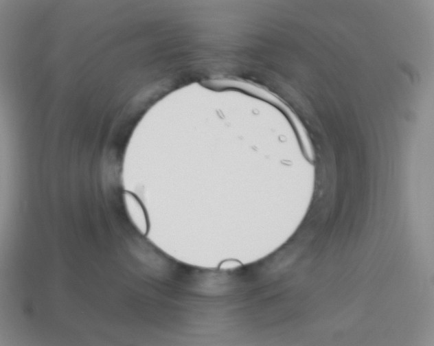 X0000113250384200910221126