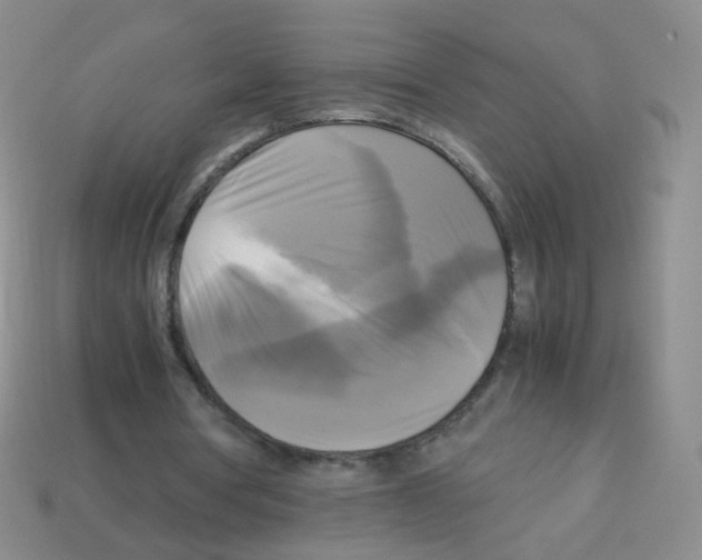 X0000113250386200910221125