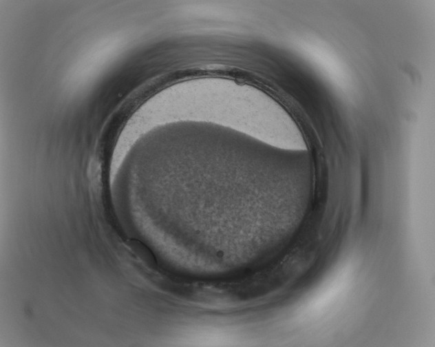 X0000113250387200910221125