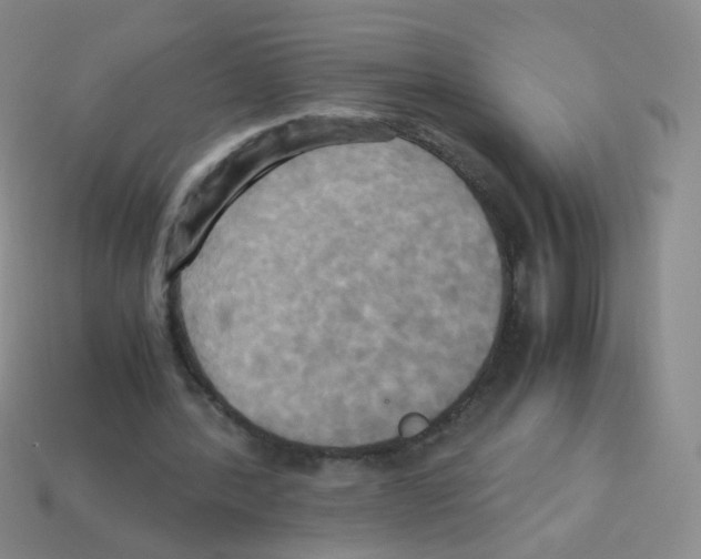 X0000113250388200910221125