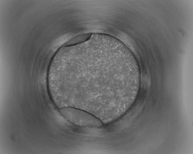 X0000113250389200910221125