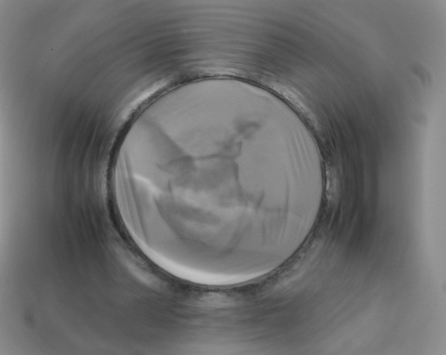 X0000113250390200910221125