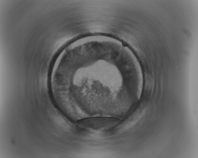 X0000113250391200910221125